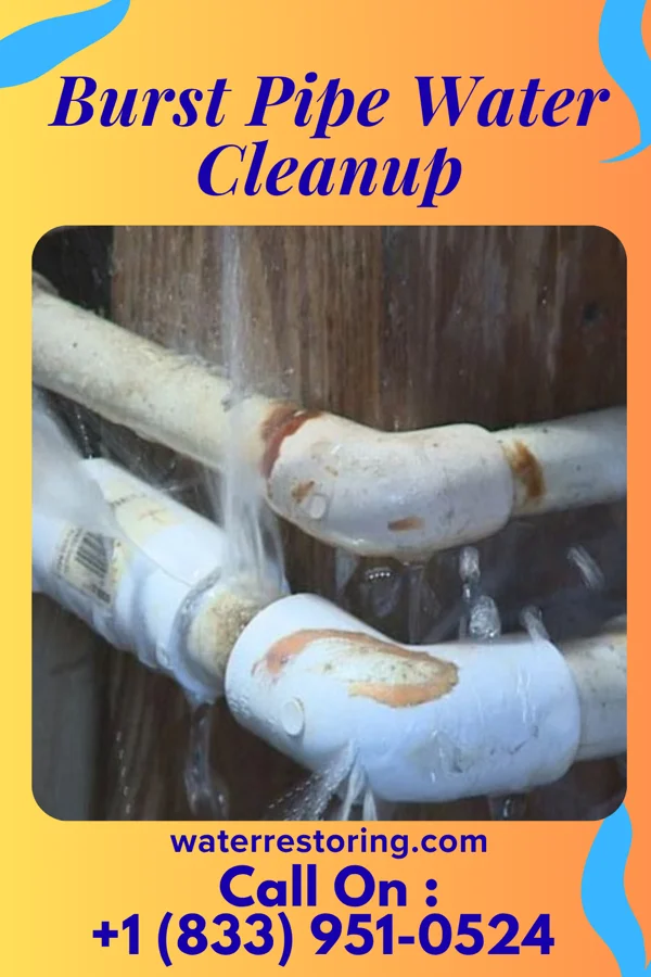 Burst Pipe Water Cleanup in Huntingburg, IN