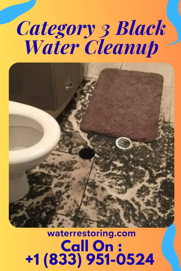 Category 3 Black Water Cleanup in Huntingburg, IN