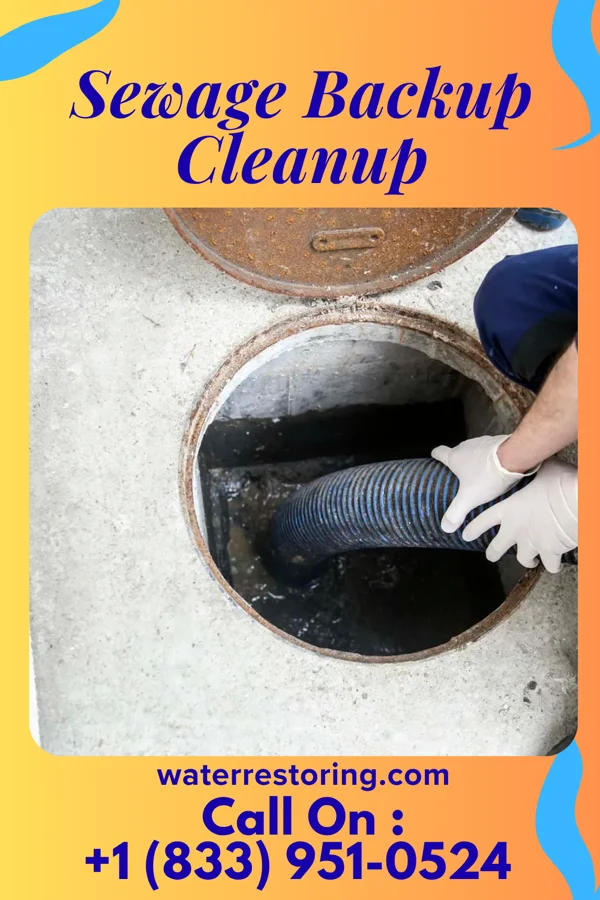 Sewage Backup Cleanup in Huntingburg, IN